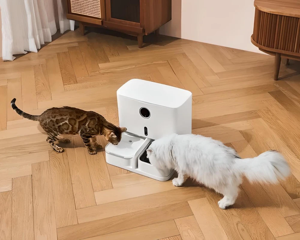 automatic water feeder for dogs