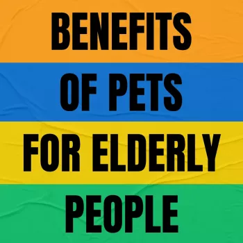 Pet Benefits Checklist for Seniors: Mood, Movement, Joy