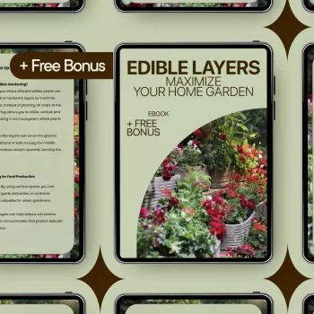 Edible Garden Layers: Grow More in Less Space